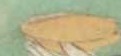 http://www2.dhii.jp/loris/NIJL0018/099-0014/099-0014-00005.jpg/2164,2050,121,56/full/0/default.jpg