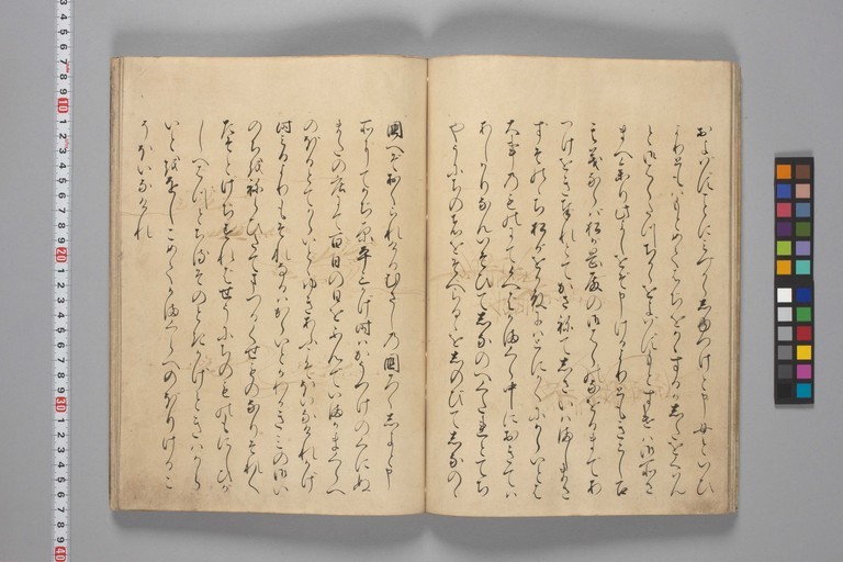 http://www2.dhii.jp/loris/NIJL0018/099-0014/099-0014-00012.jpg/full/,512/0/default.jpg