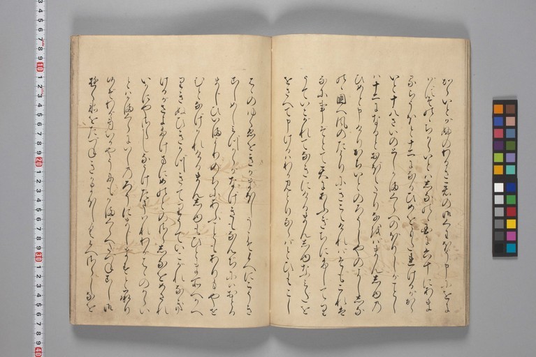 http://www2.dhii.jp/loris/NIJL0018/099-0014/099-0014-00015.jpg/full/,512/0/default.jpg